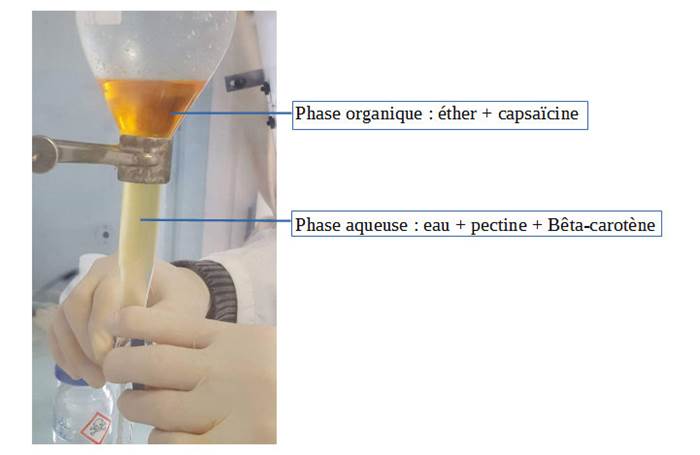 partie-exp-rimentale